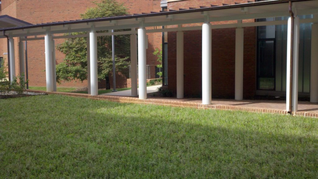 University of Virginia (UVA) Medical Research Building #5